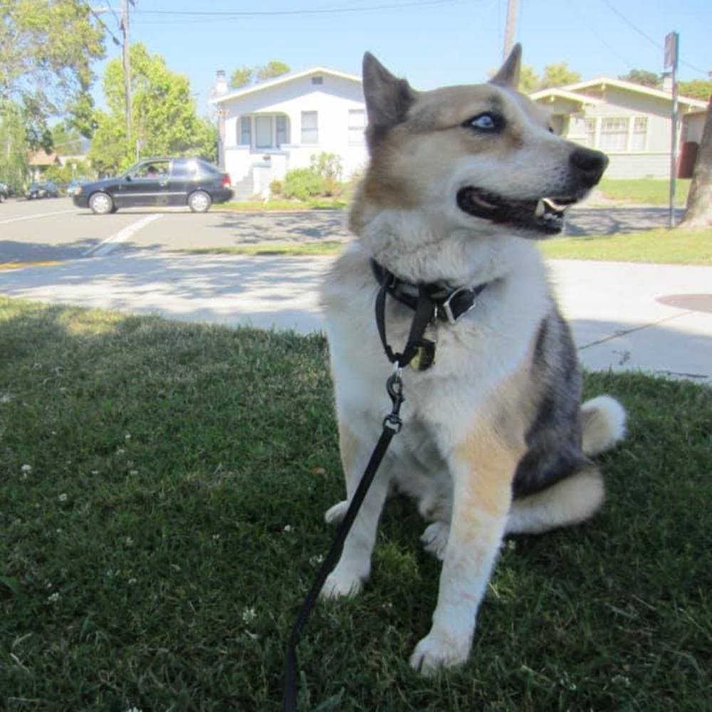 Meet your Posher, Jen